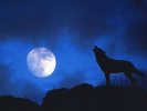Луна — главное ночное светило